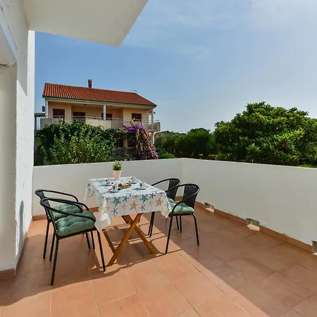 Citrus * توراني