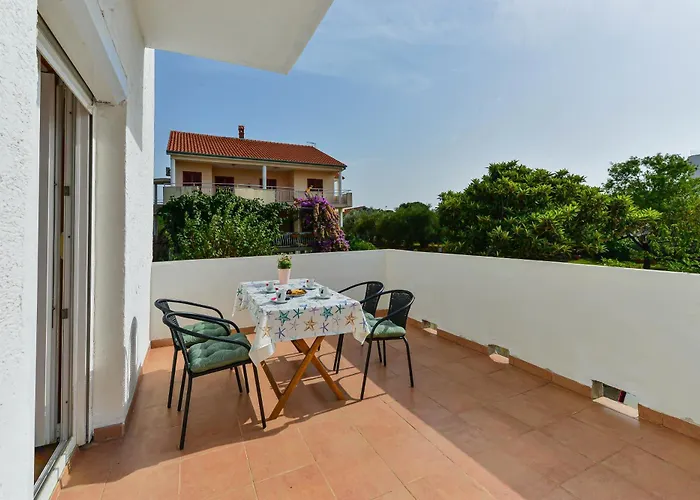 Citrus * توراني